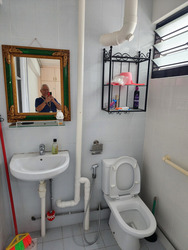 Blk 290 Tampines Street 22 (Tampines), HDB 4 Rooms #518204241